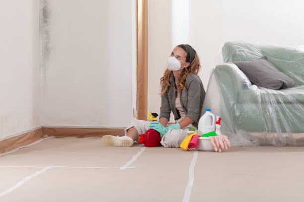 Reliable Mold Remediation contractor in Keyport, NJ by Car Mold Remediation